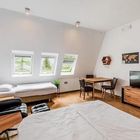 Apartmaji Repic Apartment *