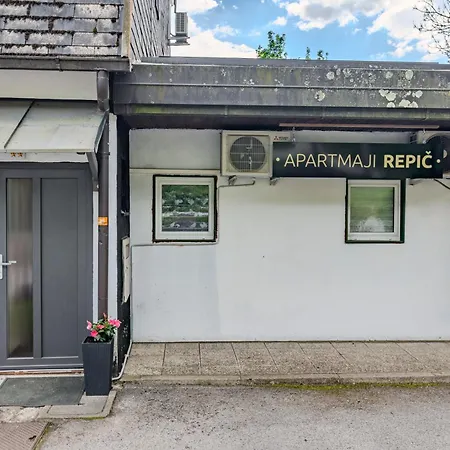 דירה Apartmaji Repic *